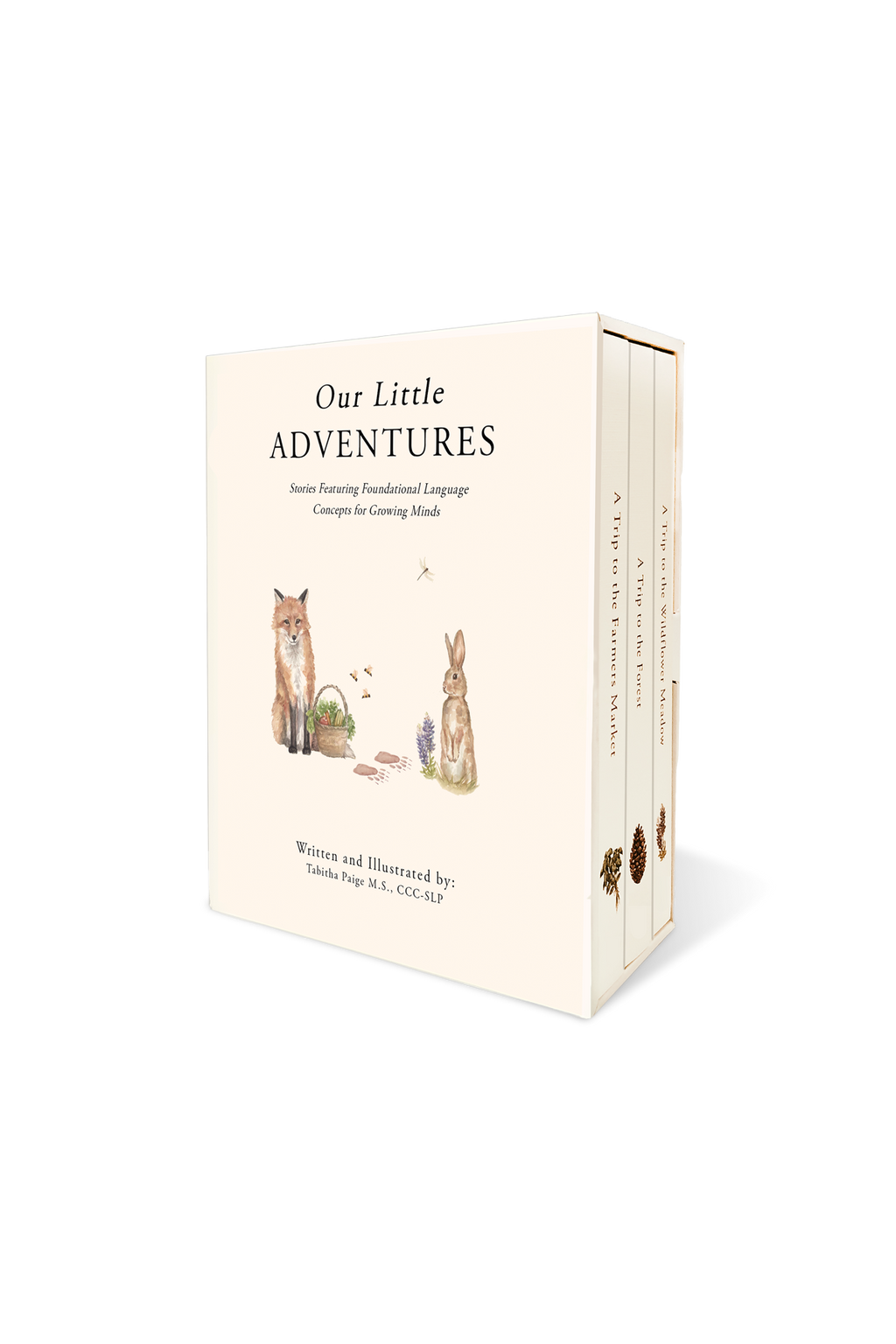 Our Little Adventures